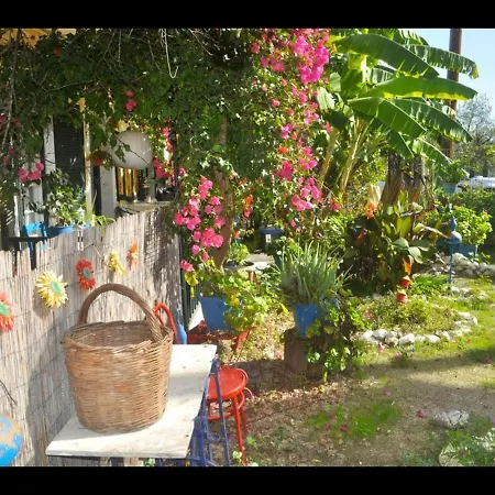 Pension Telis Und Brigitte 4 Apartment Pelekas
